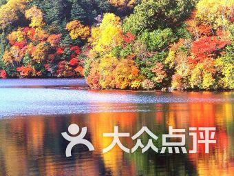 探索奇妙世界,尽在印花衬衫+紧身牛仔裤,轻松展现身材曲线美,你喜欢吗?蜗牛问答平台